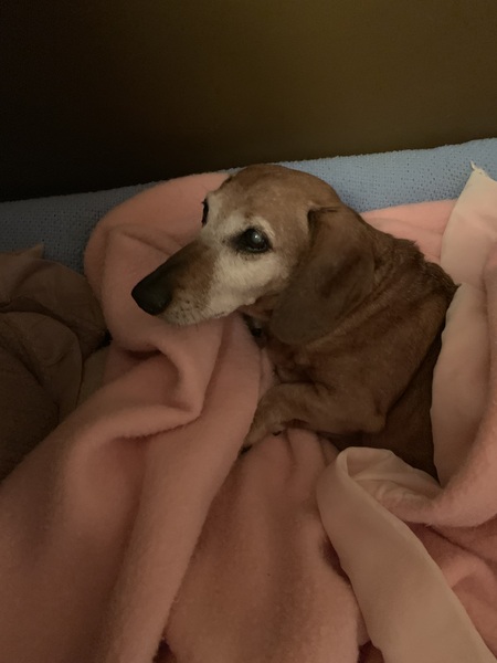 Entry image for Kobe. Clicking this image will show a larger photo