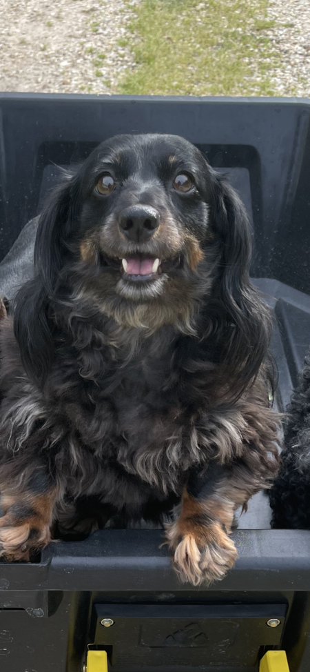 Entry image for Bailee. Clicking this image will show a larger photo