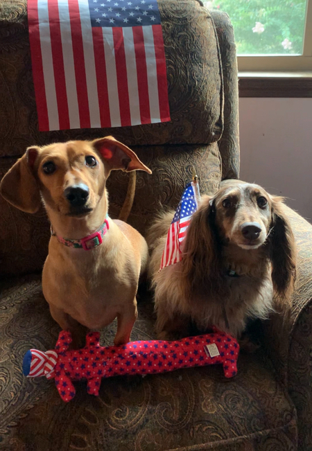 Entry image for Hazel and Hershey . Clicking this image will show a larger photo