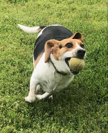 Entry image for Haven. Clicking this image will show a larger photo