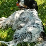 Entry image for Jake