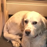 Entry image for Lucy