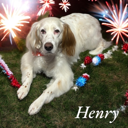 Henry