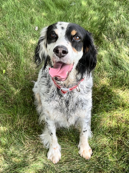 Ruby