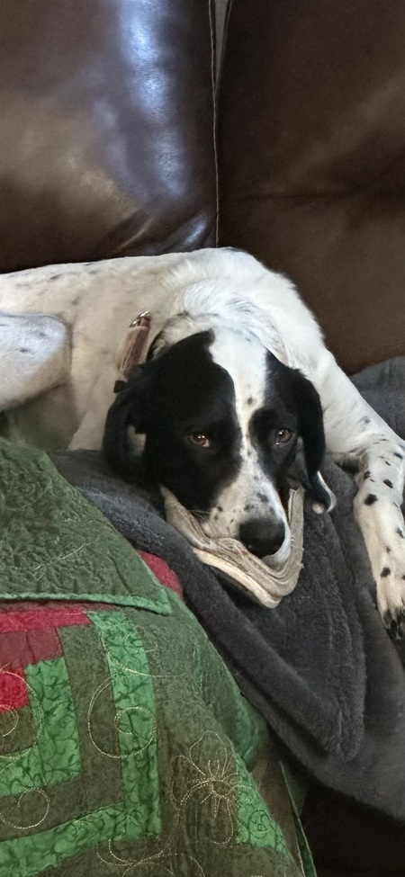 Kenzi