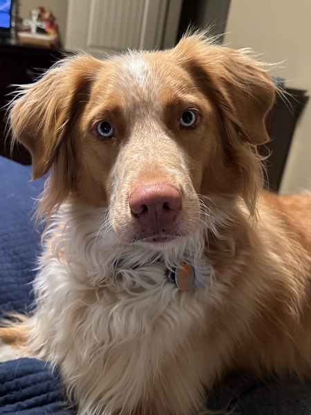 Maggie