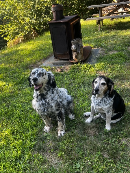 Zara and Cooper 