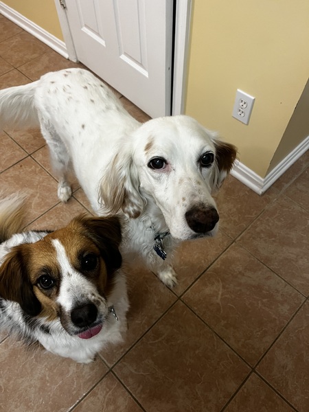 Cali and Ryker Ferris