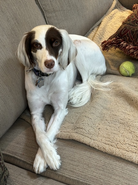 Millie