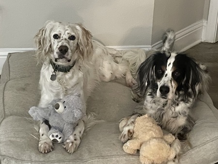 Ollie and Lily