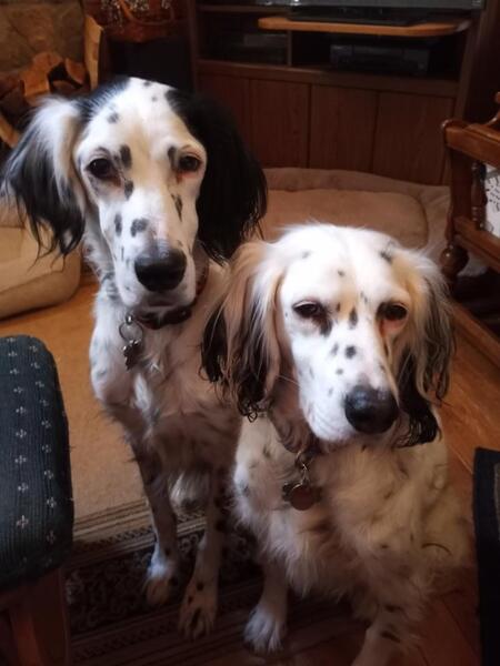 Lilly & Ember