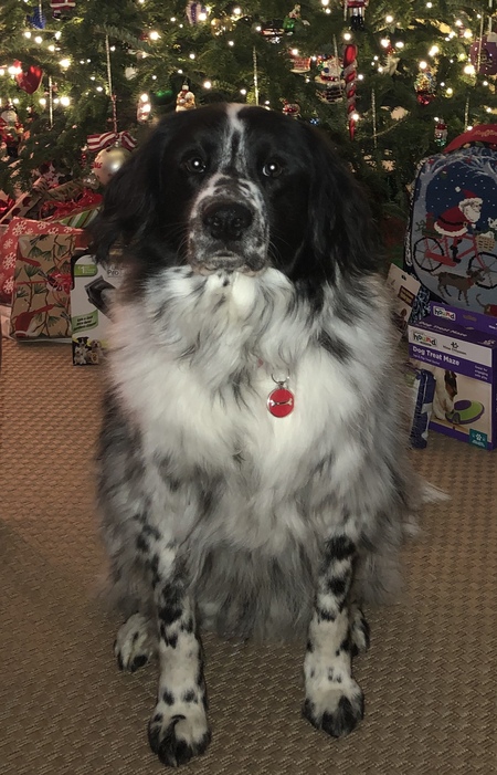 Entry image for Ruffin Doane Davis. Clicking this image will show a larger photo