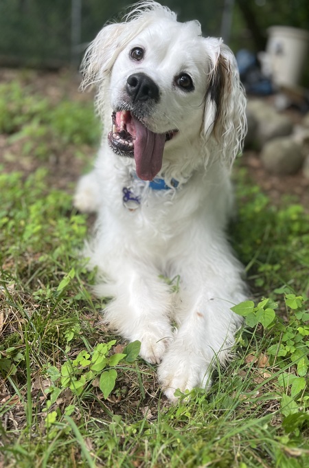 Entry image for Pizza. Clicking this image will show a larger photo