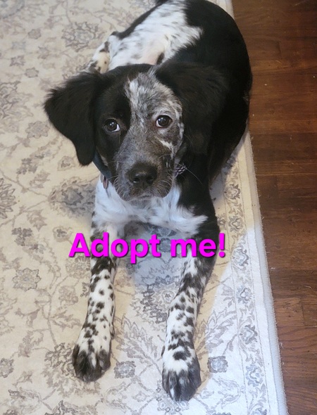 Entry image for Fiona B. Clicking this image will show a larger photo