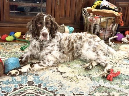 Entry image for Crewe. Clicking this image will show a larger photo