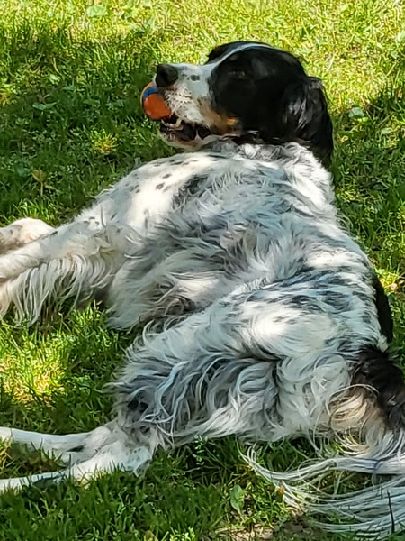 Entry image for Jake. Clicking this image will show a larger photo