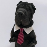 Entry image for Nuggy