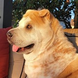 Entry image for Mallory aka Mali from Cali