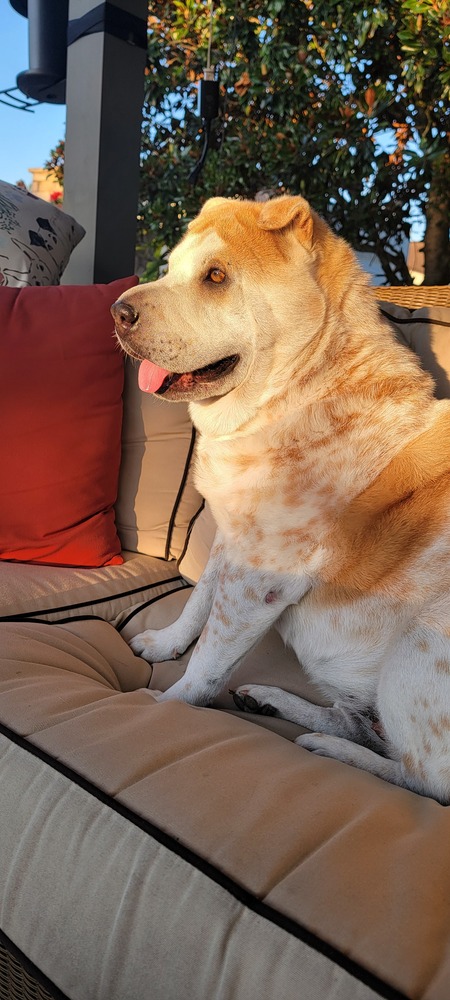 Entry image for Mallory aka Mali from Cali. Clicking this image will show a larger photo