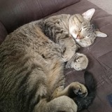 Entry image for Baker