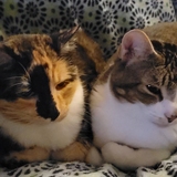 Entry image for Pawl Rudd & Dana