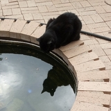 Entry image for Caleb