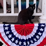 Entry image for Nikki