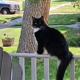 Entry image for Sharlet