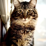 Entry image for Blink