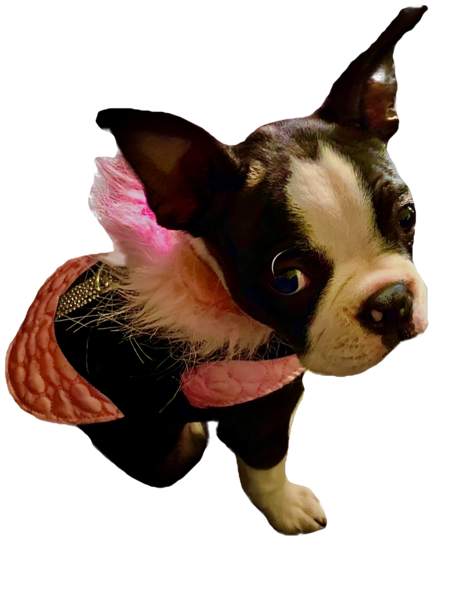 Delilah