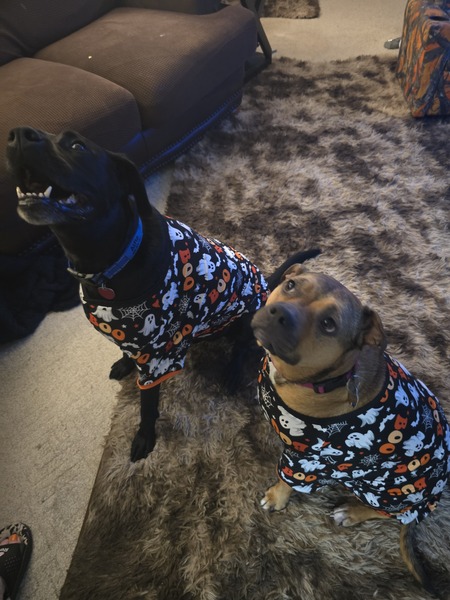 Alfie & Sassy