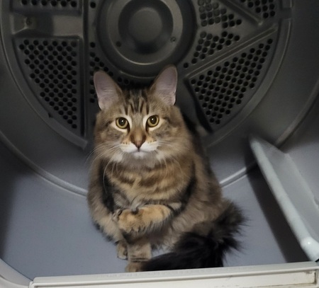 Entry image for Stassi. Clicking this image will show a larger photo