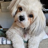 Entry image for Murtauagh