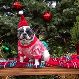 Entry image for Fiona