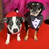 Entry image for T & Rory 