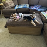 Entry image for CieraJo and Bandit Lee