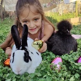 Entry image for Valentine (bun bun) and Red