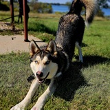 Entry image for Oakley