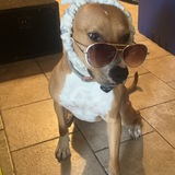 Entry image for Barrel