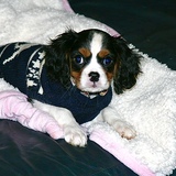 Entry image for Maddie