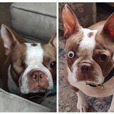 Entry image for Coco