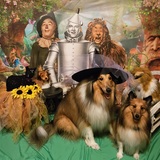 Entry image for Abbey and Peanut