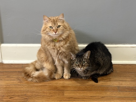 Louie and Cammy