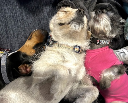 Vito, Riggs & Bea