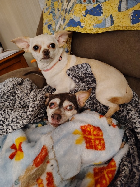 Entry image for Penny & Bernadette. Clicking this image will show a larger photo