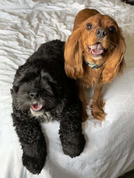 Jasper and Turbo