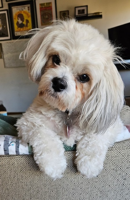 Entry image for Murtauagh. Clicking this image will show a larger photo