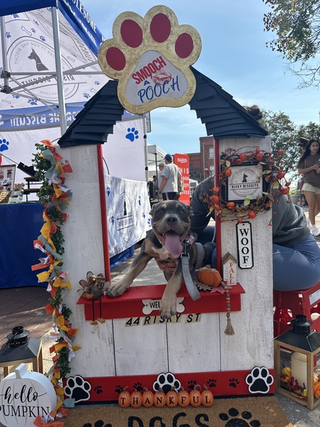 Entry image for Mickie. Clicking this image will show a larger photo