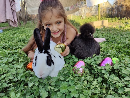 Entry image for Valentine (bun bun) and Red. Clicking this image will show a larger photo