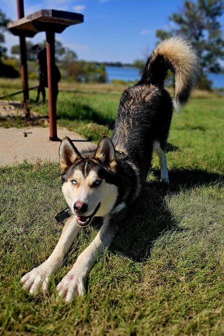 Entry image for Oakley. Clicking this image will show a larger photo